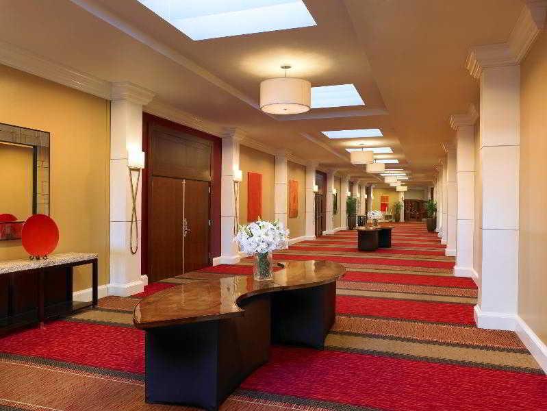 Sheraton Albuquerque Airport Hotel Экстерьер фото