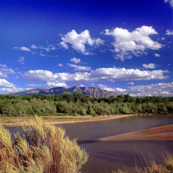 Sheraton Albuquerque Airport Hotel Экстерьер фото